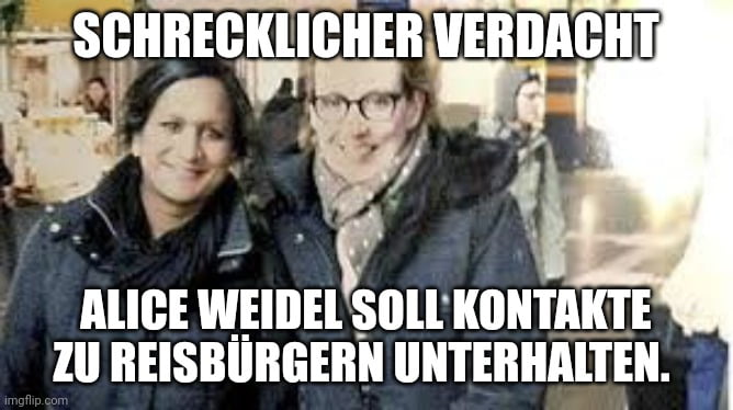 Der braune Bär ist wieder da. 9GAG