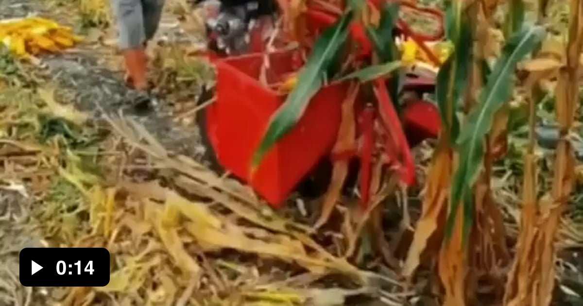 Corn harvesting machine - 9GAG