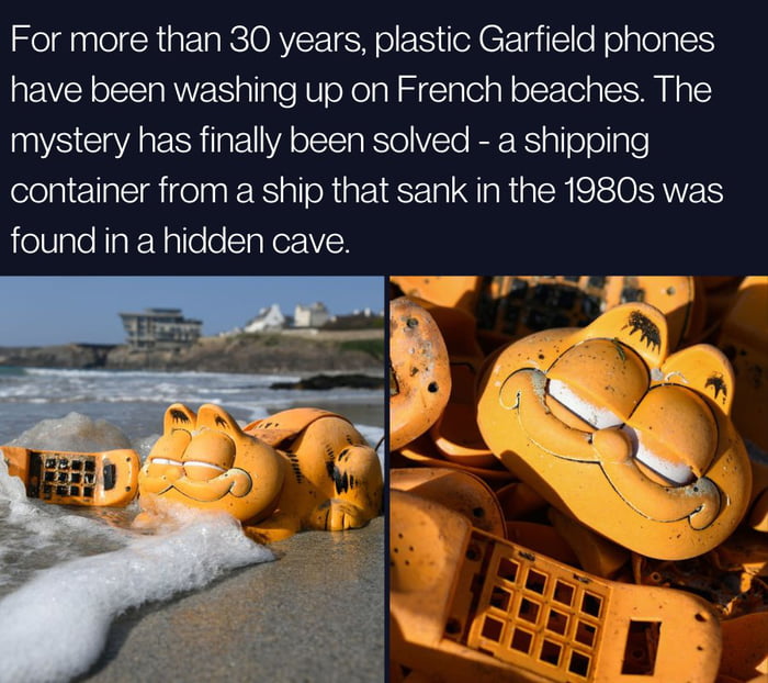 Garfield phones beach mystery finally solved - 9GAG