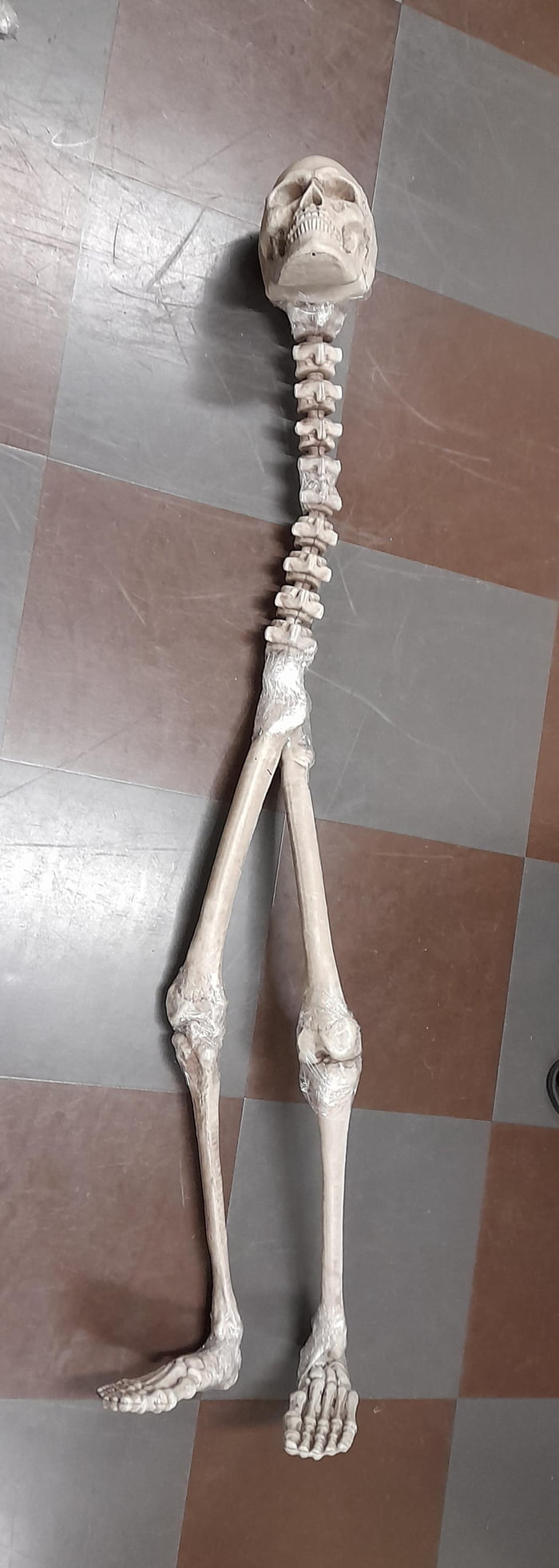 Blursed Skelly Boi 9GAG