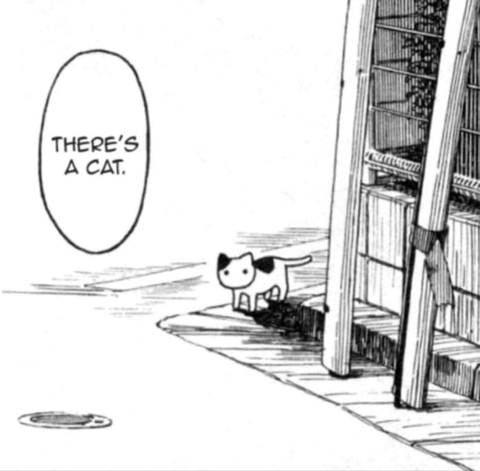 There's a cat - 9GAG