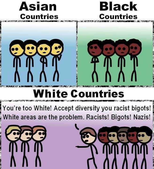 This is black. Diversity White Genocide. Diversity Мем. White Genocide Supremacy.