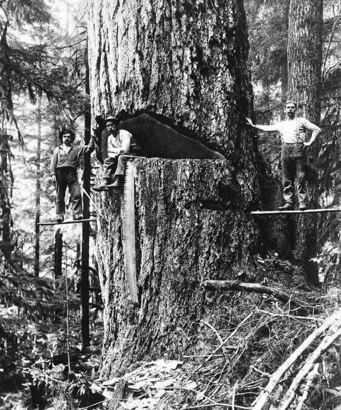 Another day at work for these lumberjacks in Oregon, 1918. 9GAG