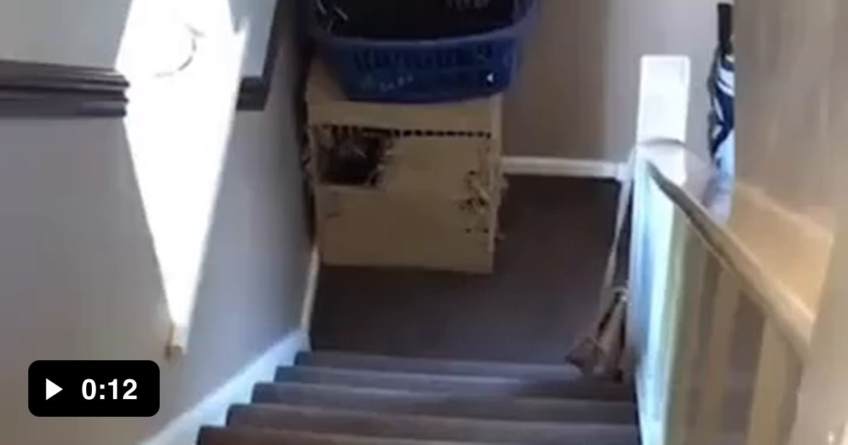That's nuts - 9GAG