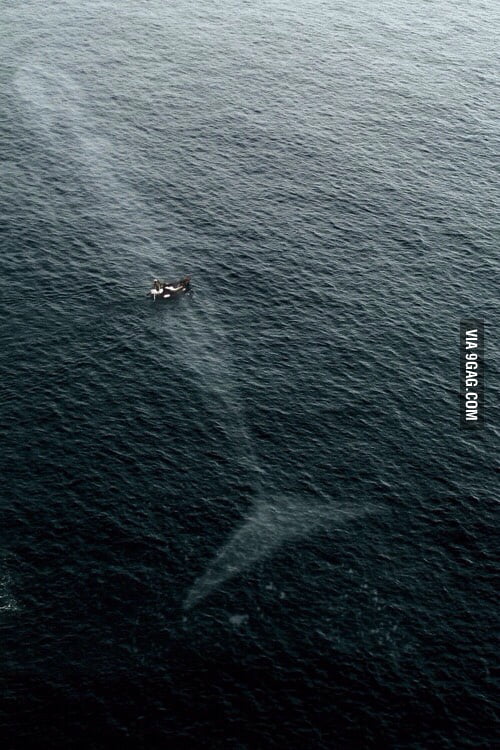 Why I m Afraid Of The Ocean 9GAG