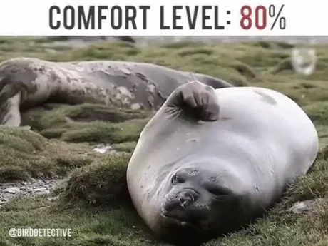 Comfort Level 100 9gag