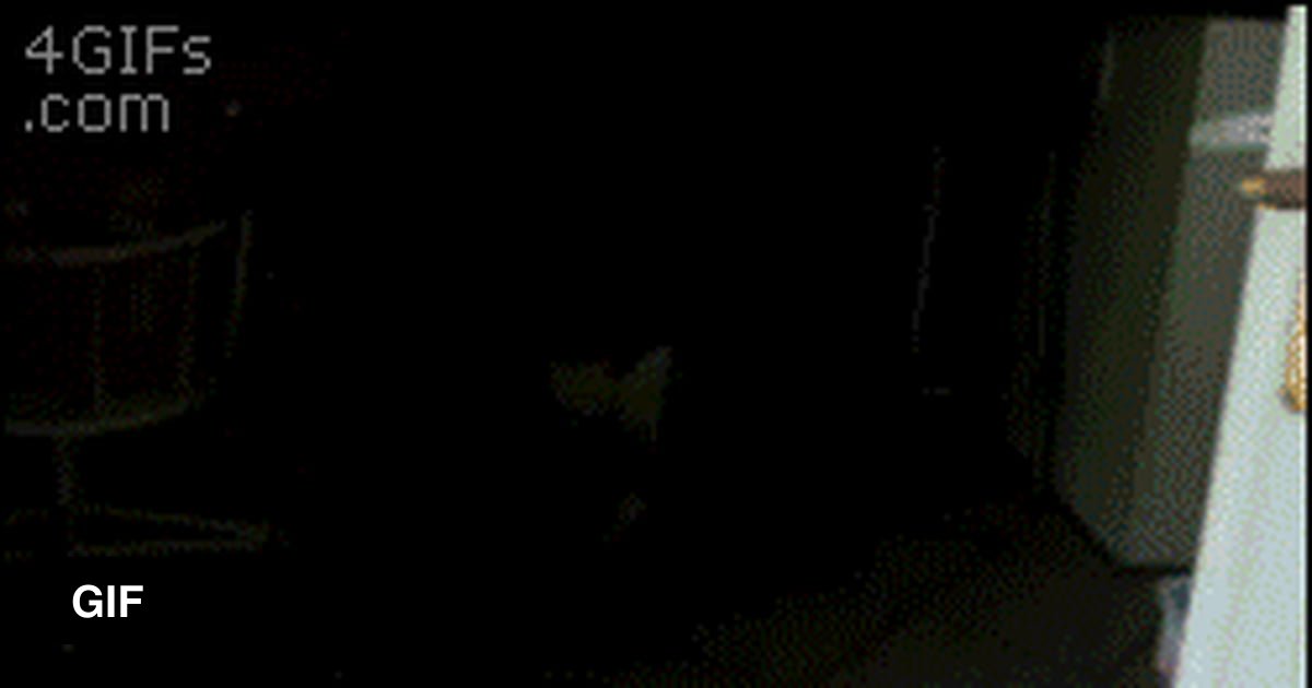 You can never be too sure. 9GAG