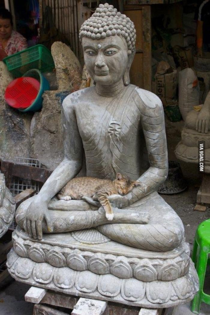 Resting in safe hands