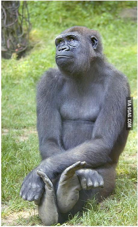 just-another-boring-day-9gag