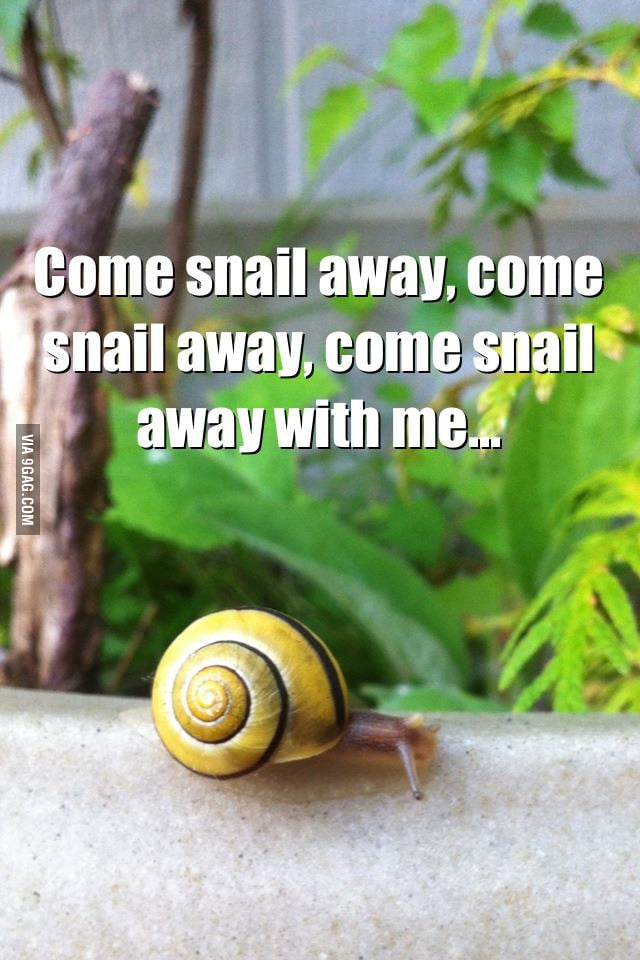 Come snail away - 9GAG