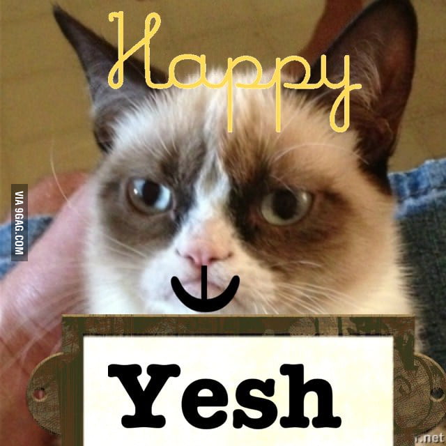 Happy cat - 9GAG