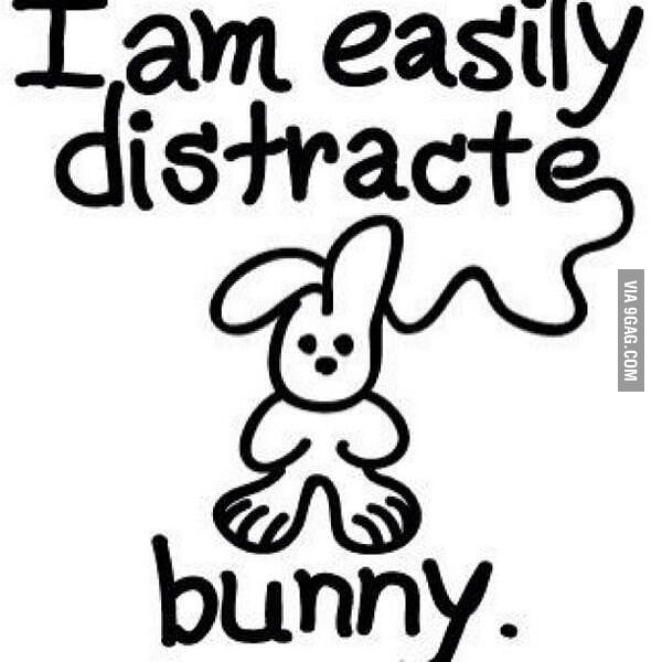 Bunny. - 9GAG