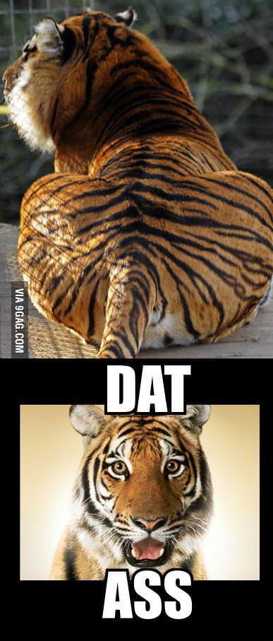 Dat Ass 9gag