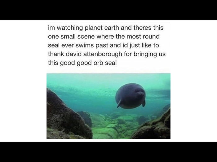 Sea orb - 9GAG