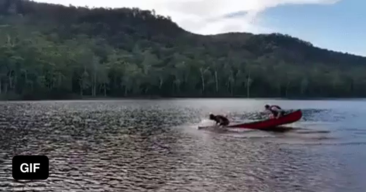 Без весел. Раскачивает лодку gif. Раскачивание лодки гиф. Весло гиф. В лодке плывут двое гиф.