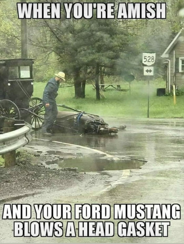 Chech engine - 9GAG