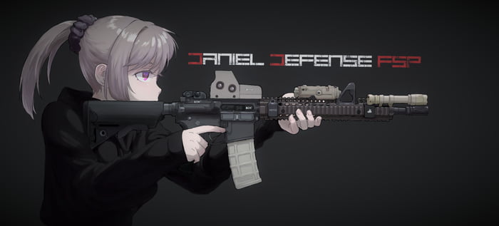 Daniel Defense RIS II FSP (Block 2 M4 is best M4) - 9GAG