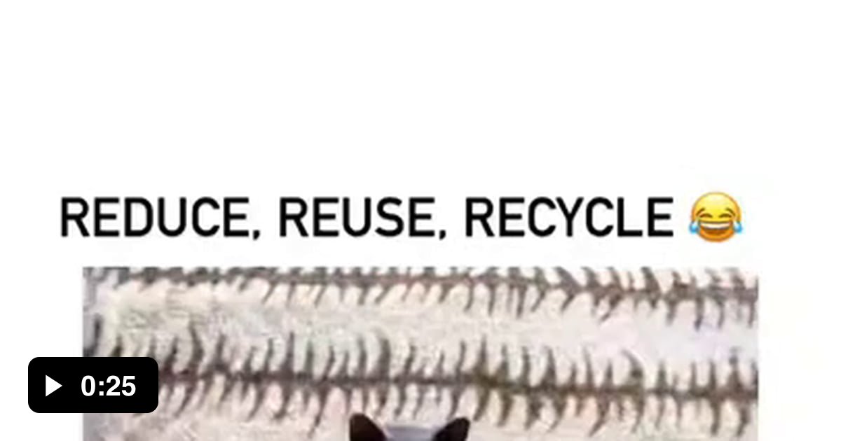 Boots made of cat fur 9GAG