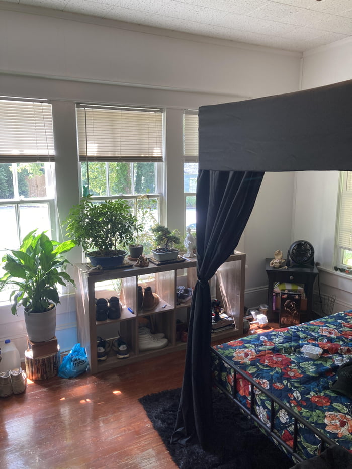 Always wanted a canopy bed. To much? 9GAG