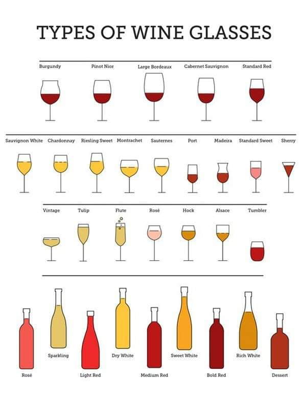 Types Of Wine Glasses - 9GAG