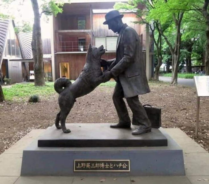 The story of the faithful dog Hachikō is always worth telling. Hachikō