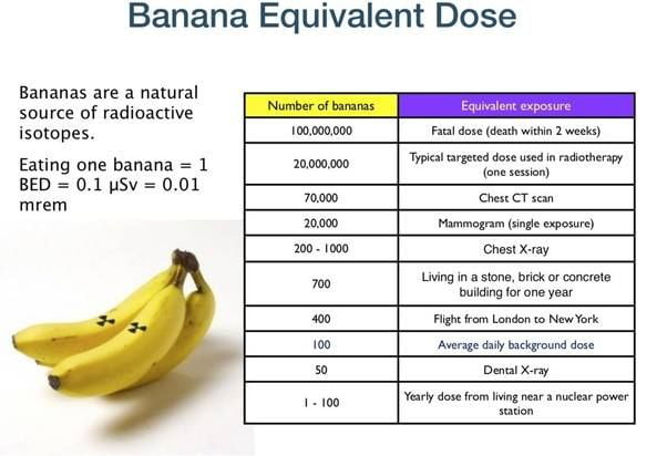You all know banana for scale but do you also know the banana equivalent .....
