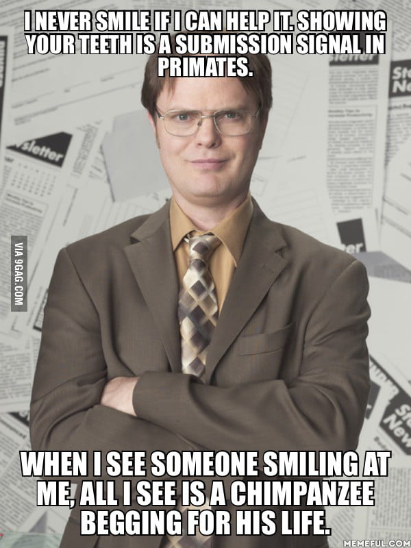 Dwight From The Office Has Some Great Life Advice 9GAG Dwight from the office has some great life advice 9gag