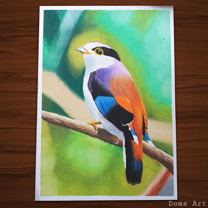 oil pastel bird drawing