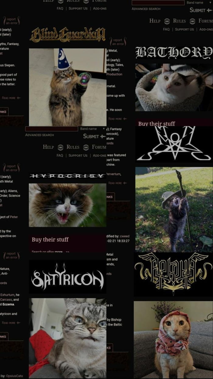 All Band Photos on Metal Archives Are Metal Cats, See 15 of Them