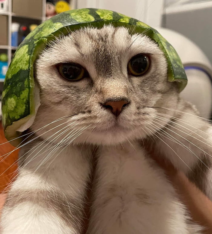 Getting Bamboozled Face 9GAG