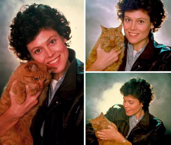 Sigourney Weaver With Jones The Cat In Aliens 9GAG