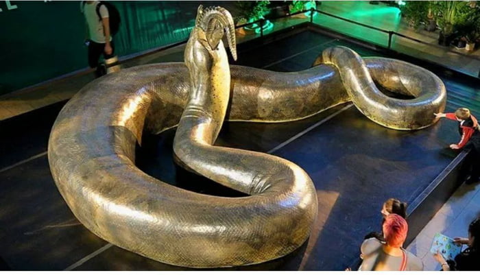 Titanoboa, 15m long prehistoric monster - 9GAG