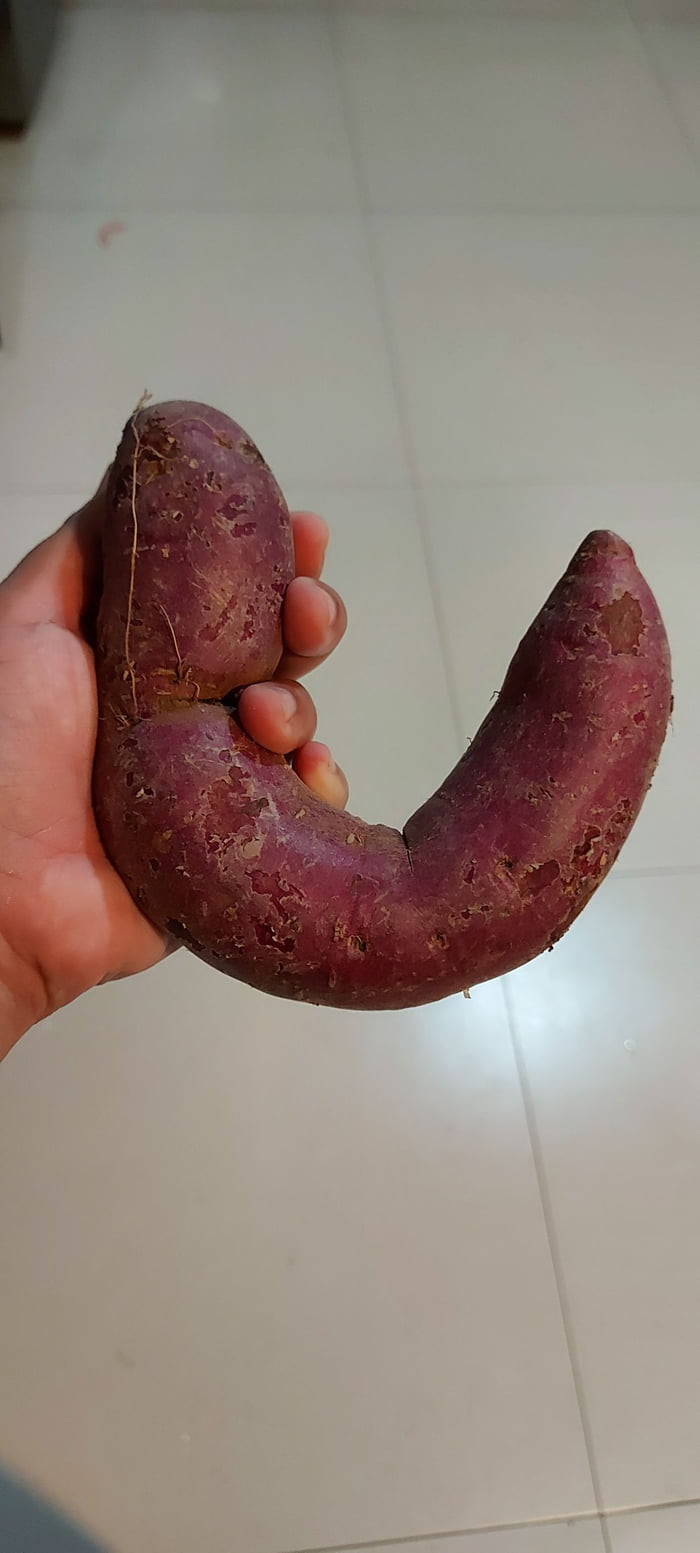 Sweet Potato 9gag