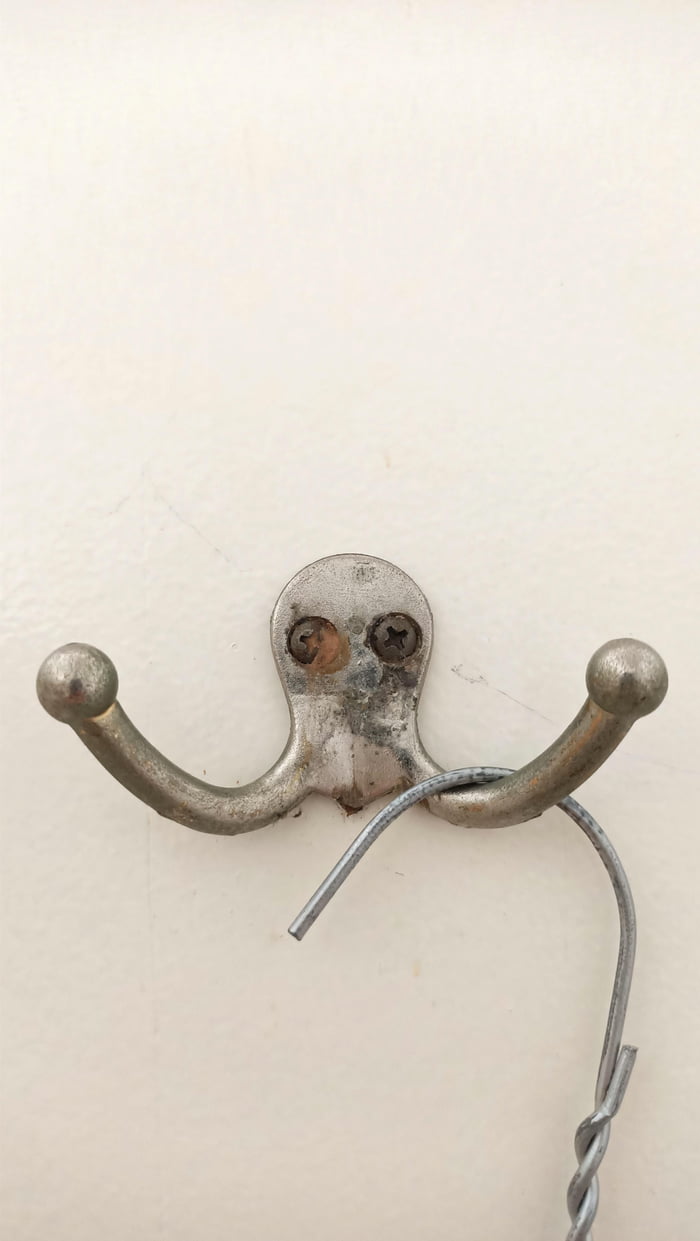 I found another drunk octopus and this one also wants to fight! - 9GAG