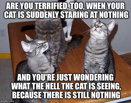 I guarantee. They can see some kind of 4th dimensional creatures or ...