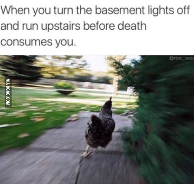 *Run meme song* 9GAG