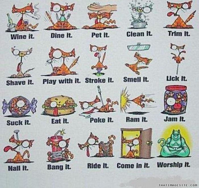 20 Ways To Have Fun With A Pussy 9GAG 20-ways-to-have-fun-with-a-pussy-9gag