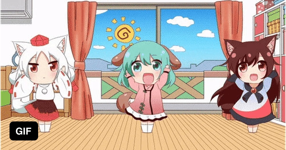 Assisst Wanko Hachi