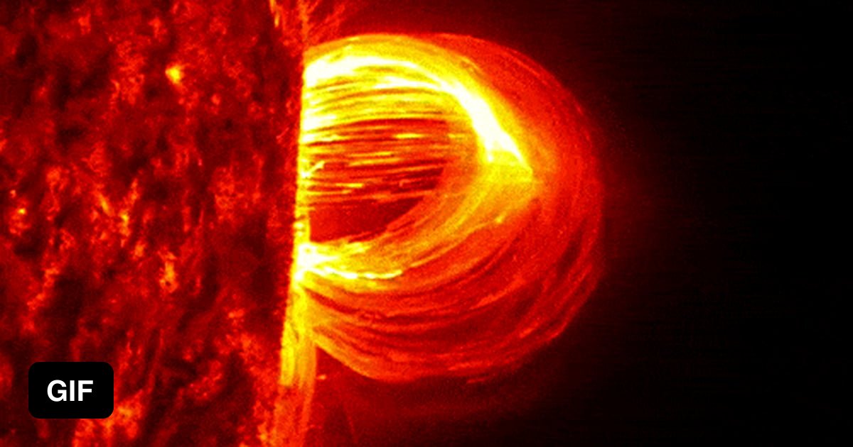 This plasma loop shooting out of the Sun is 4 times the size of Earth ...