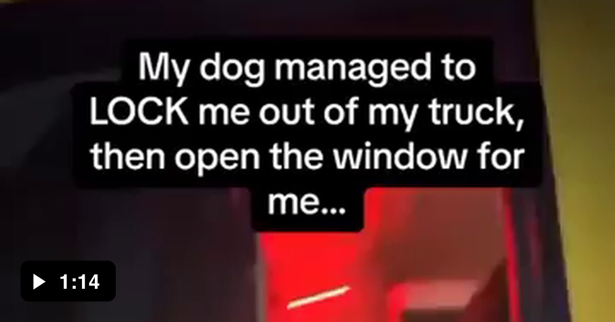 Dog locks owner out of truck 🔒 - 9GAG