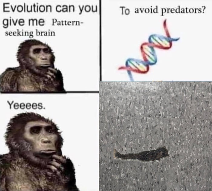 Stole this from X - 9GAG