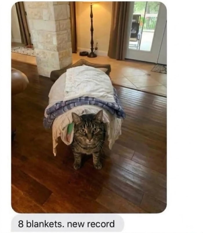 My cat trying to set a new personal best for blanket snuggles - 9GAG