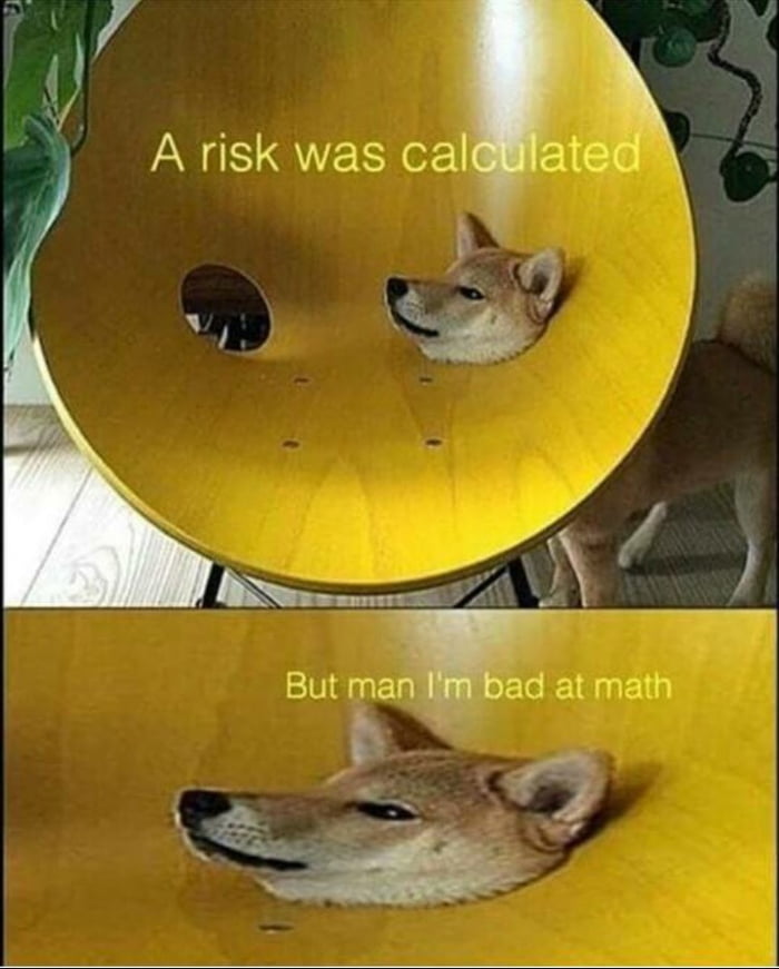 Stupid doggo - 9GAG