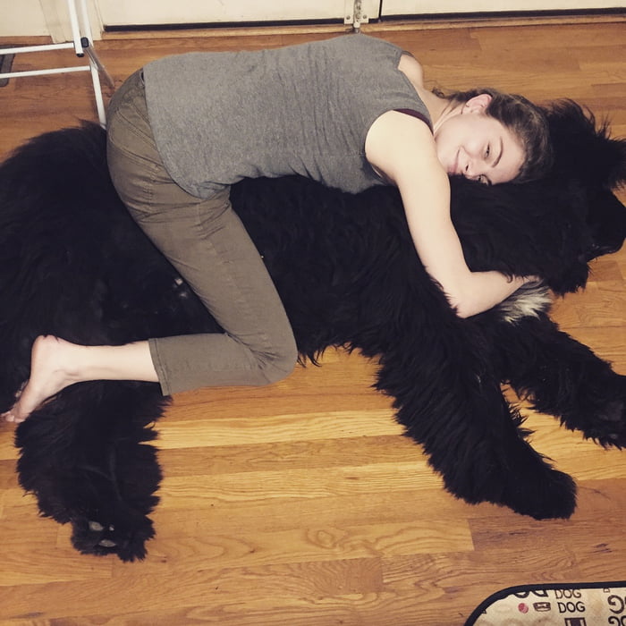 My dog doubles as a pillow. 9GAG