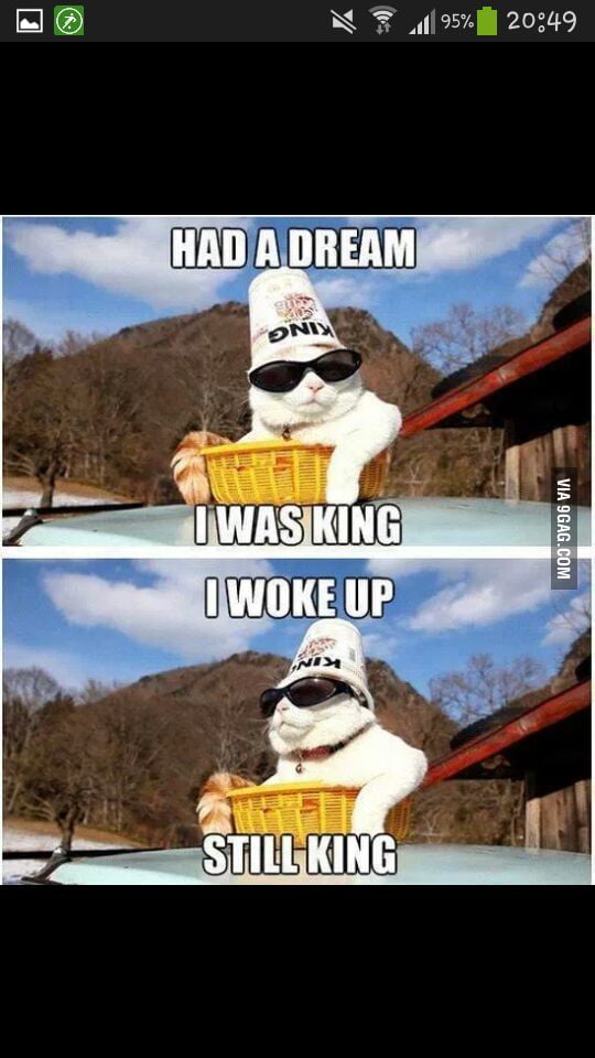 King¡ 9gag