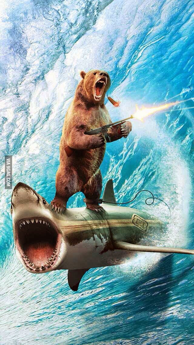 Just a bear with a gun riding a shark. 9GAG