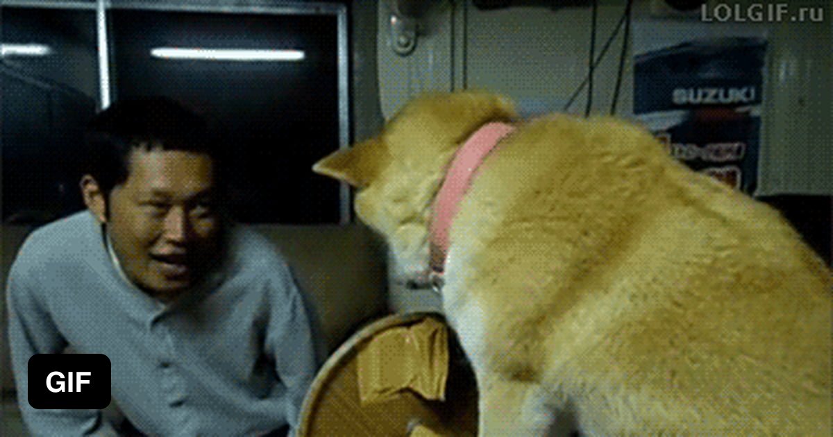 How to properly dodge a kiss 9gag