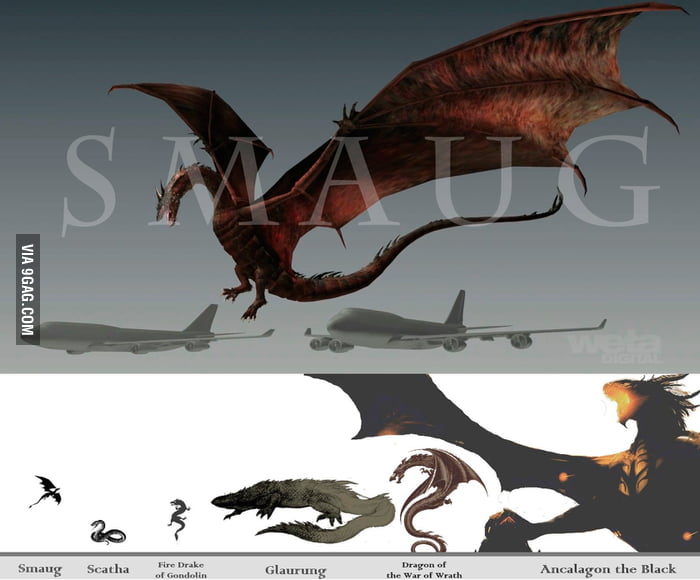 Dragons in Lord of the Rings' Lore - Smaug, Glaurung, Ancalagon, Scatha -  Tolkien and LotR Lore 