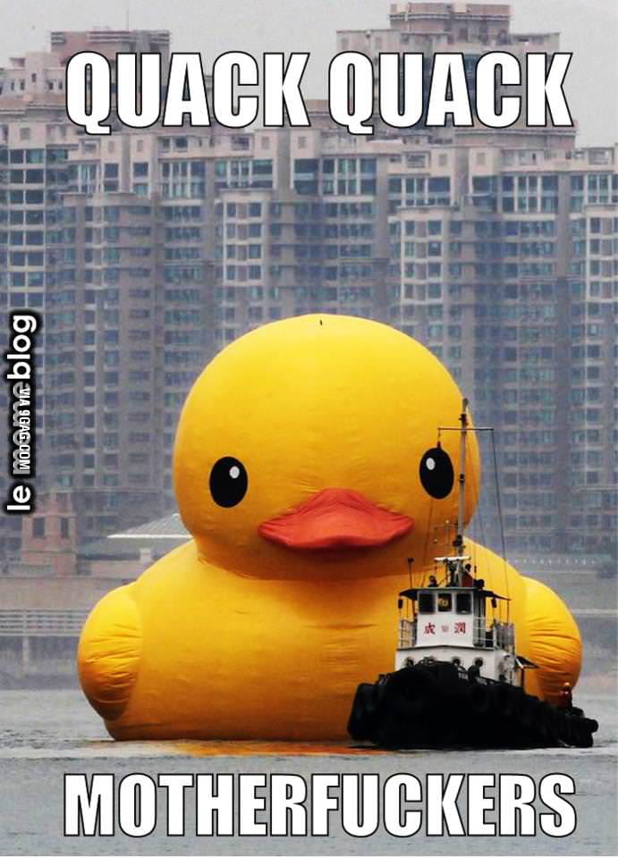 Release the quacken - 9GAG