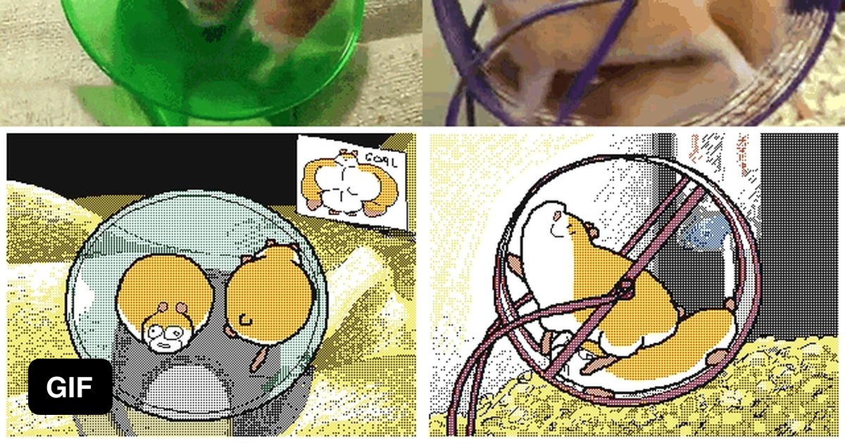 Ddnet hamster combat. Колесо для хомяка. Хомячок в колесе. Хомяки в колесе смешное. Прикольный хомяк с колесом.